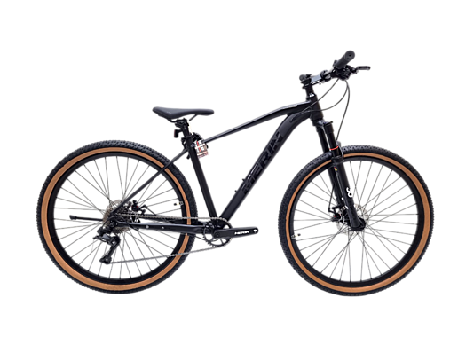 29 Велосипед 