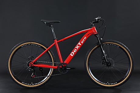 29 DeXTpro